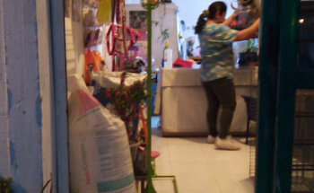 Veterinaria el cubil felino