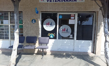 Centro Médico para Mascotas Patzoa