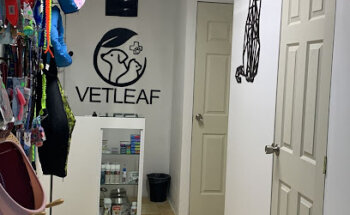 Vetleaf Veterinaria y Estética