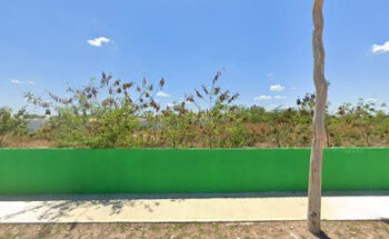 Vet Vision Veterinario a domiclio