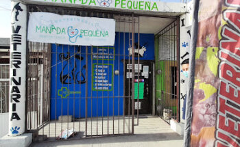 Veterinaria Manada Pequeña