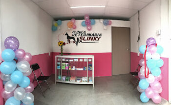 Clínica Veterinaria Slinky