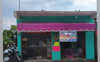 Clínica Veterinaria 