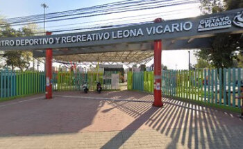 Esterelizacion para Perros y Gatos