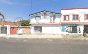 Actinmun Contra Moquillo Y Parvovirus