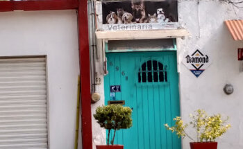 Veterinaria Cria Delgado