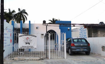 Spay Mérida Consultorio Veterinario