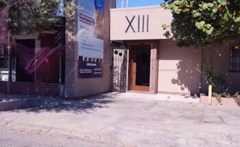 Clínica Felina XIII