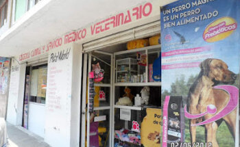 Veterinaria Pets world