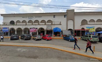 Pet shop Altamira by Sexta Mascota