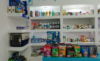 Zoovet Clinica Veterinaria