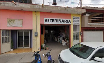 VETERINARIA VILLA