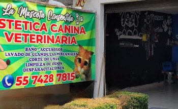 Veterinaria La Mascota Consentida