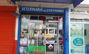 MogoVet (veterinaria)