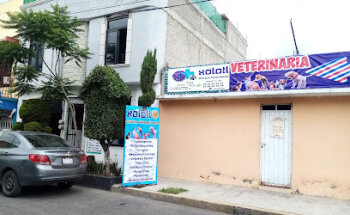 Xólotl Veterinaria