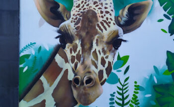 Centro Veterinario Itzamna Mundo Animal