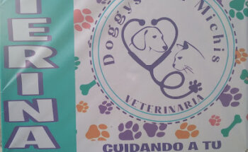 Veterinaria Doggys and Michis