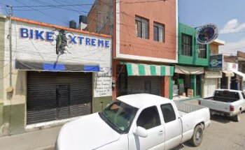 VETERINARIA MUNDO ANIMAL