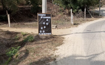 Servicios Veterinarios