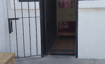 DOG TORS VETERINARIA