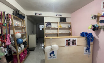 Centro Veterinario Cuidado Animal