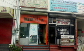 Odontología Veterinario