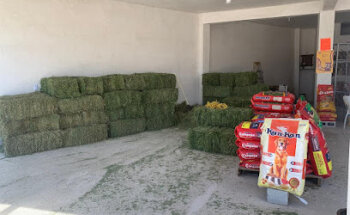 Forrajera veterinaria La india