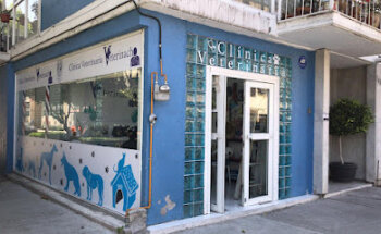 Clinica Veterinaria Veterinacho
