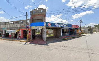 Veterinaria Animalia