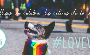 Veterinaria Kuali Pet care & Spa