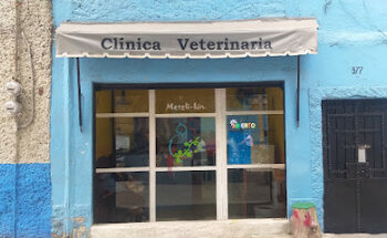 Servicios veterinarios Metzli-kin