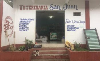 Veterinaria san juan