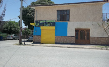 Clínica veterinaria Lean's