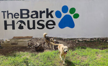 The Bark House Merida