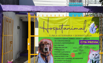 Hospitanimal - Clínica veterinaria y dermatología