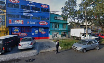 Estética canina boix