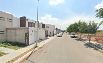 Veterinaria Dog-Tora