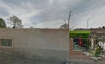 Veterinario don pifas