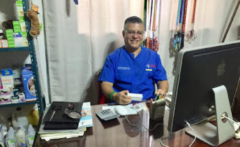 CLÍNICA Y ESTÉTICA VETERINARIA K-NINO