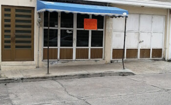 VETERINARIA puppys del Alicia