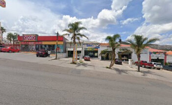 Mundo Mascotas Zacatecas