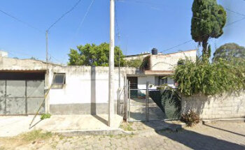 Dog lovers veterinaria