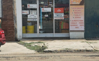 Veterinaria y estética