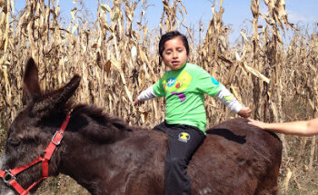 Veterinaria: la granja del abuelito