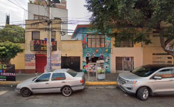 Estética canina pochaco's