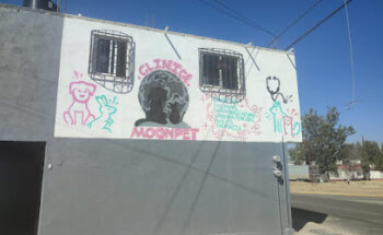 Clínica veterinaria Moonpet