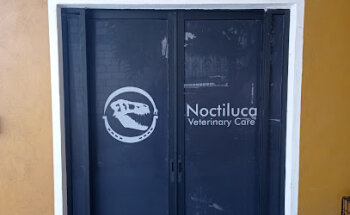 Noctiluca Veterinaria