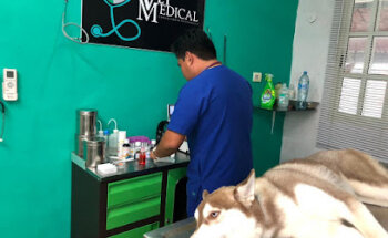 Vet Medical