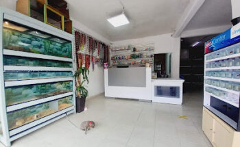 Clínica Veterinaria RossVet