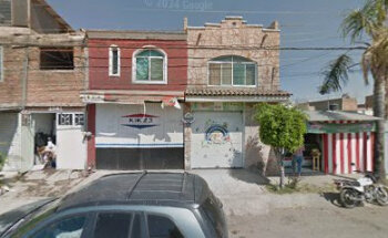 Veterinaria la jungla